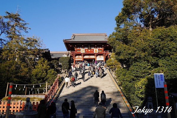 131229八幡宮20.jpg