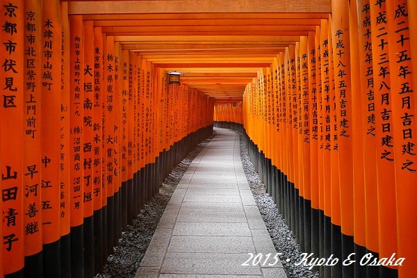 1506141伏見76.jpg 1506141伏見76.jpg