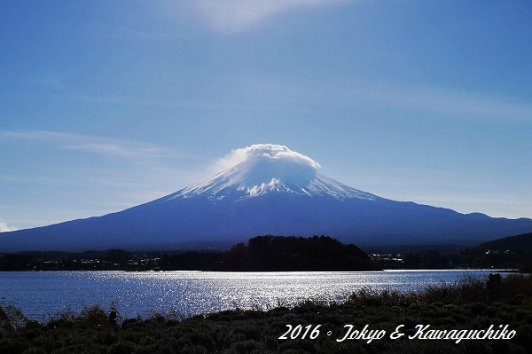 P1110217.jpg P1110217.jpg