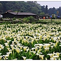 陽明山國家公園