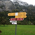DSC_0246.jpg