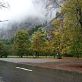 DSC_0277.jpg