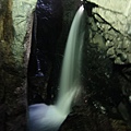 DSC_0310.jpg
