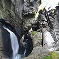 DSC_0318.jpg