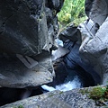 DSC_0329.jpg