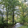 DSC_0337.jpg