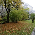 DSC_0338.jpg