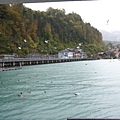 DSC_0469.jpg
