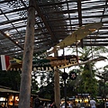 P1070535.JPG