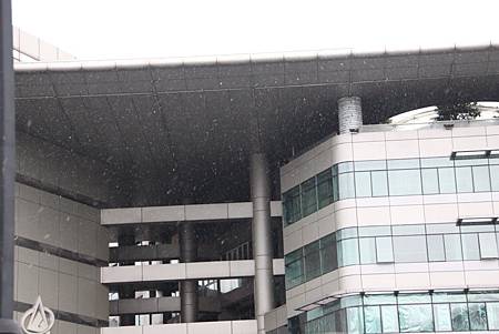 IMG_5723.JPG IMG_5723.JPG