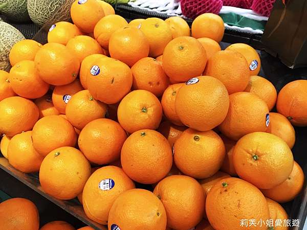 烘焙 甜橙瑪德蓮食譜 Sweet Orange Madeleine 法式常溫人氣甜點輕鬆做 莉芙小姐愛旅遊 旅行 美食 烹飪 痞客邦 烘焙 甜橙瑪德蓮食譜 Sweet Orange Madeleine 法式常溫人氣甜點輕鬆做 莉芙小姐愛旅遊 旅行 美食 烹飪 痞客邦