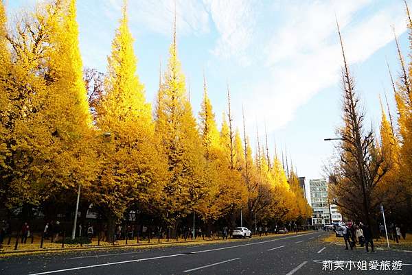 旅遊 日本東京明治神宮外苑的銀杏大道 秋季絕美金黃落葉步道 青山一丁目 外苑前站 莉芙小姐愛旅遊 旅行 美食 烹飪 痞客邦 旅遊 日本東京明治神宮外苑的銀杏大道 秋季絕美金黃落葉步道 青山一丁目 外苑前站 莉芙小姐愛旅遊 旅行 美食 烹飪 痞客邦