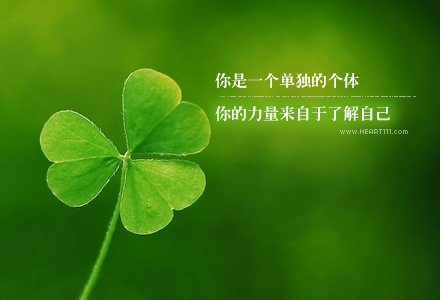 38390a2bd53c26ddd4ede2f9bd381d9b