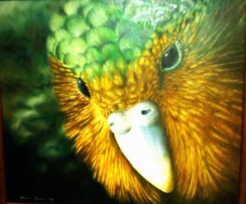 鴞鸚鵡 kakapo