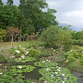 蓮花池