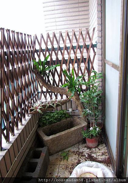 IMG_1805.JPG IMG_1805.JPG