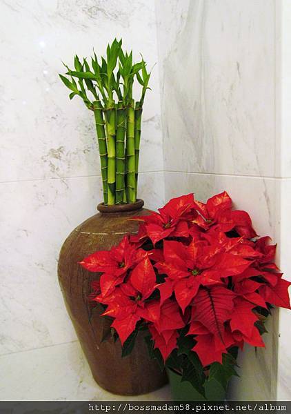 IMG_1824.JPG IMG_1824.JPG