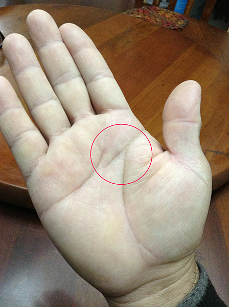 手相學 115.png 手相學 115.png