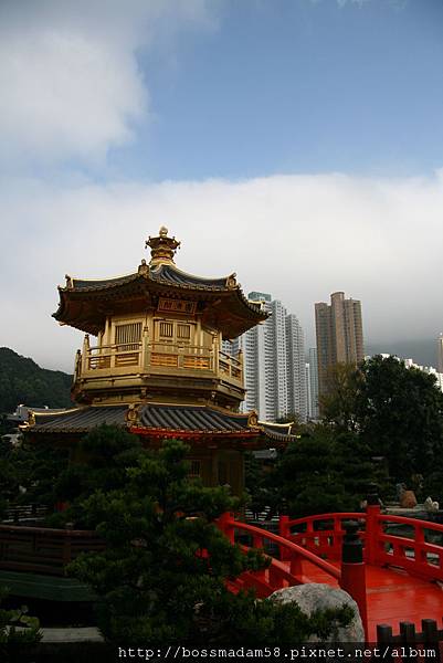 IMG_5565.JPG IMG_5565.JPG