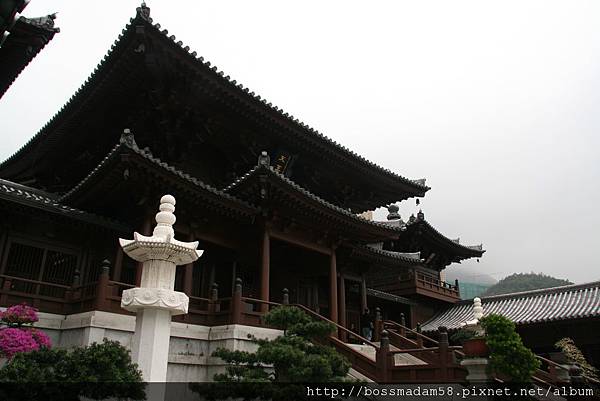 IMG_5488.JPG IMG_5488.JPG