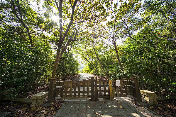 高雄婚紗攝影景點推薦：鳥松濕地公園