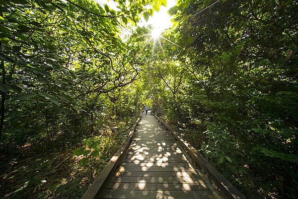 高雄婚紗攝影景點推薦：鳥松濕地公園