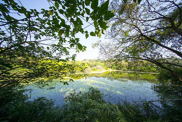 高雄婚紗攝影景點推薦：鳥松濕地公園