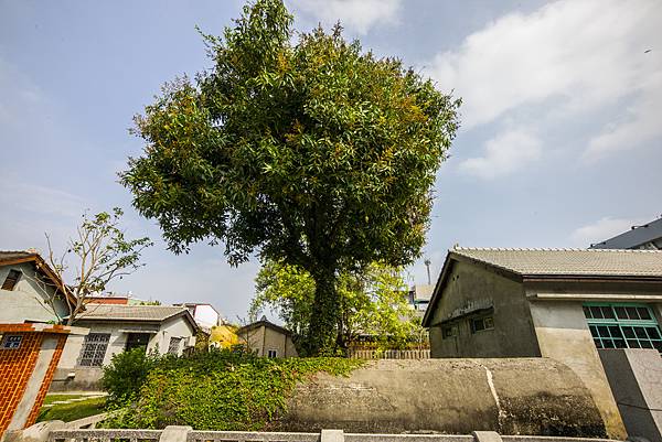 屏東婚紗景點：勝利新村