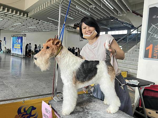 【2023.6.18 KCT美容競技與犬展】 小敏老師參加南