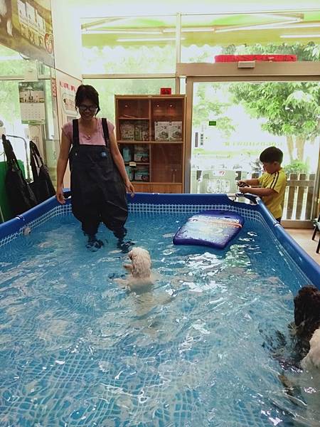 棉花狗兒玩水去~ 新北三峽寵物游泳 寵物玩水 玩得瘋寵物渡