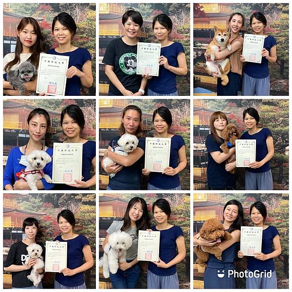 棉花糖小敏老師 於 中國科技大學推廣教育中心 居家寵物美容
