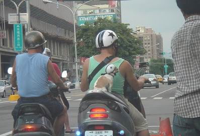 安全帽.jpg 安全帽.jpg
