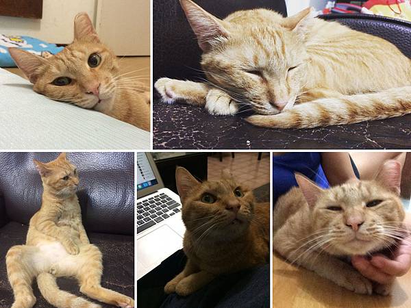 2016-01-05 00.14.11.jpg