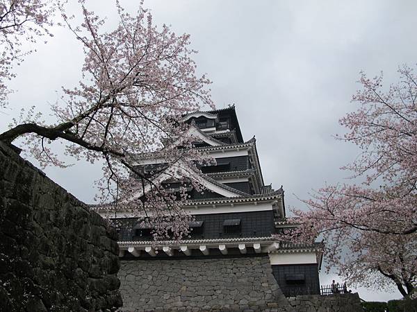 IMG_1753.JPG IMG_1753.JPG