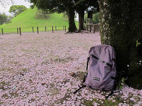 IMG_1858.JPG IMG_1858.JPG