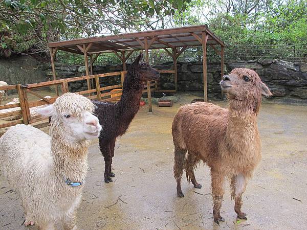 IMG_2190.JPG IMG_2190.JPG