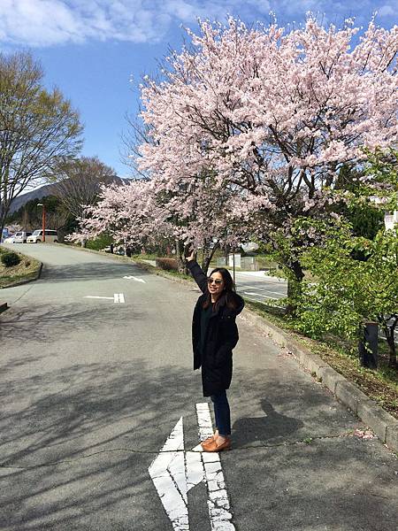 IMG_8479.JPG IMG_8479.JPG