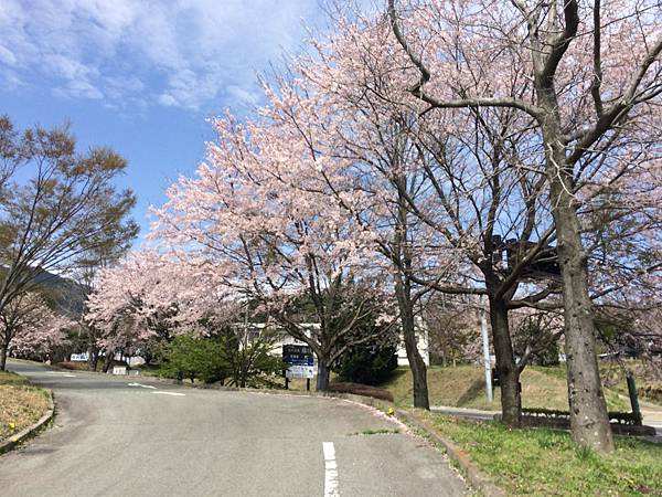 IMG_8474.JPG IMG_8474.JPG