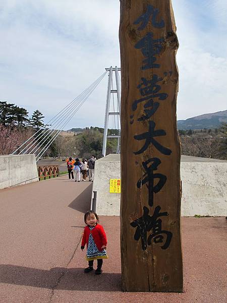 IMG_2517.jpg IMG_2517.jpg