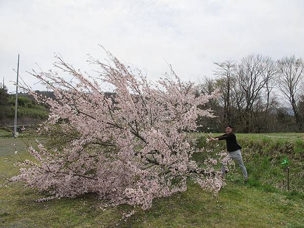 IMG_2576.JPG IMG_2576.JPG