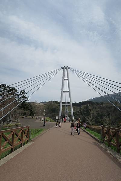 IMG_1040.JPG IMG_1040.JPG