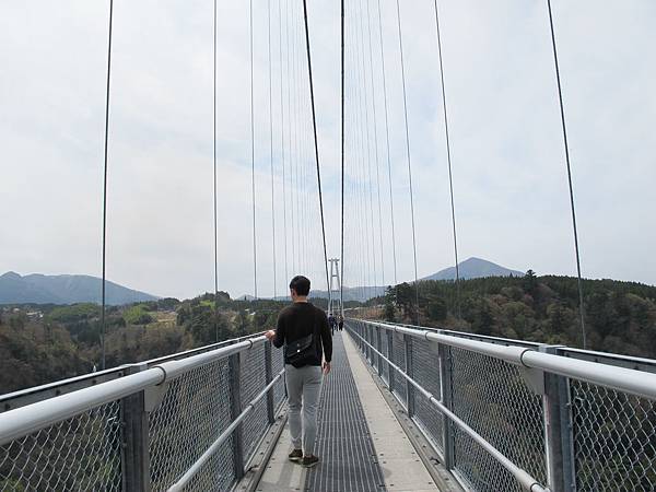 IMG_2599.JPG IMG_2599.JPG