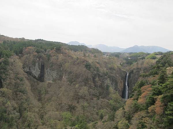 IMG_2609.JPG IMG_2609.JPG