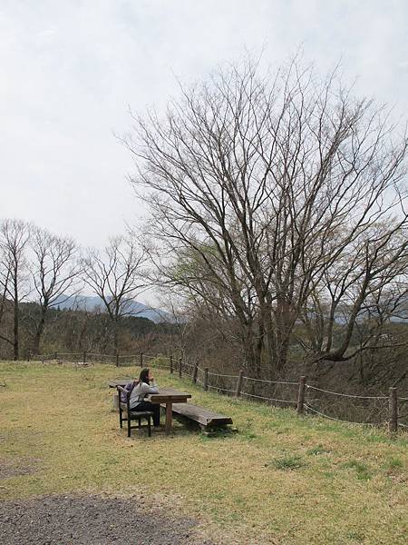 IMG_2587.jpg IMG_2587.jpg