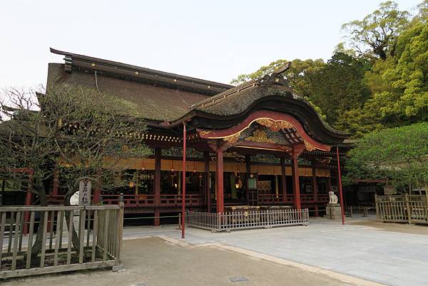 IMG_0956.JPG IMG_0956.JPG