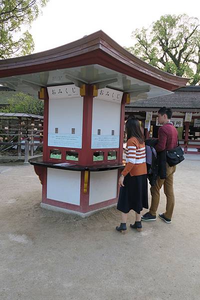 IMG_0953.JPG IMG_0953.JPG