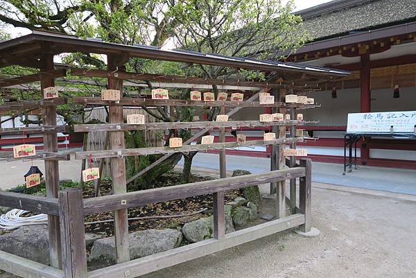 IMG_0954.JPG IMG_0954.JPG