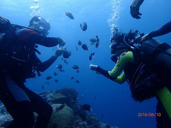 P6101327.JPG P6101327.JPG