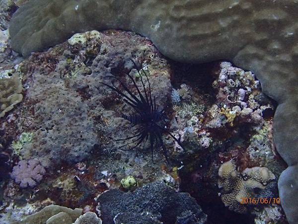 P6101331.JPG P6101331.JPG