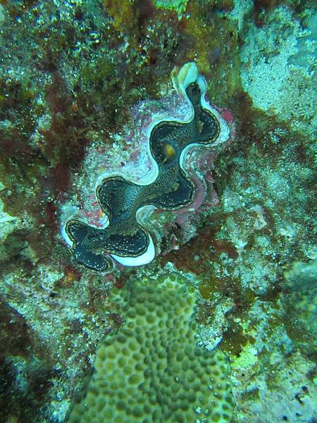 IMG_1432.JPG IMG_1432.JPG